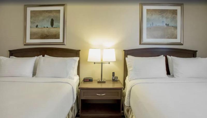 Holiday Inn Conference Centre Edmonton South By Ihg Dış mekan fotoğraf